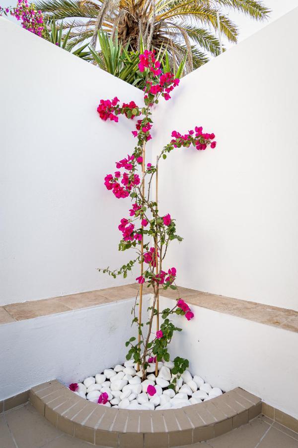 Ds Traditional Villas Santorini Island Karterádos Eksteriør bilde