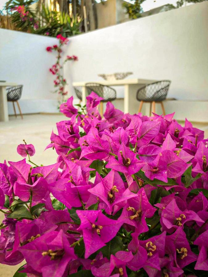 Ds Traditional Villas Santorini Island Karterádos Eksteriør bilde